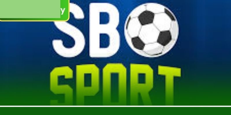 এসবিও স্পোর্ট: 3666BET-এ প্রতিদিন ১০০+ লাভজনক বেটিং মার্কেট